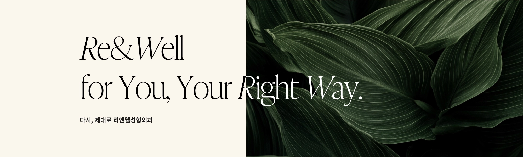 Re&Well for You, Your Right Way. 다시, 제대로 리앤웰성형외과