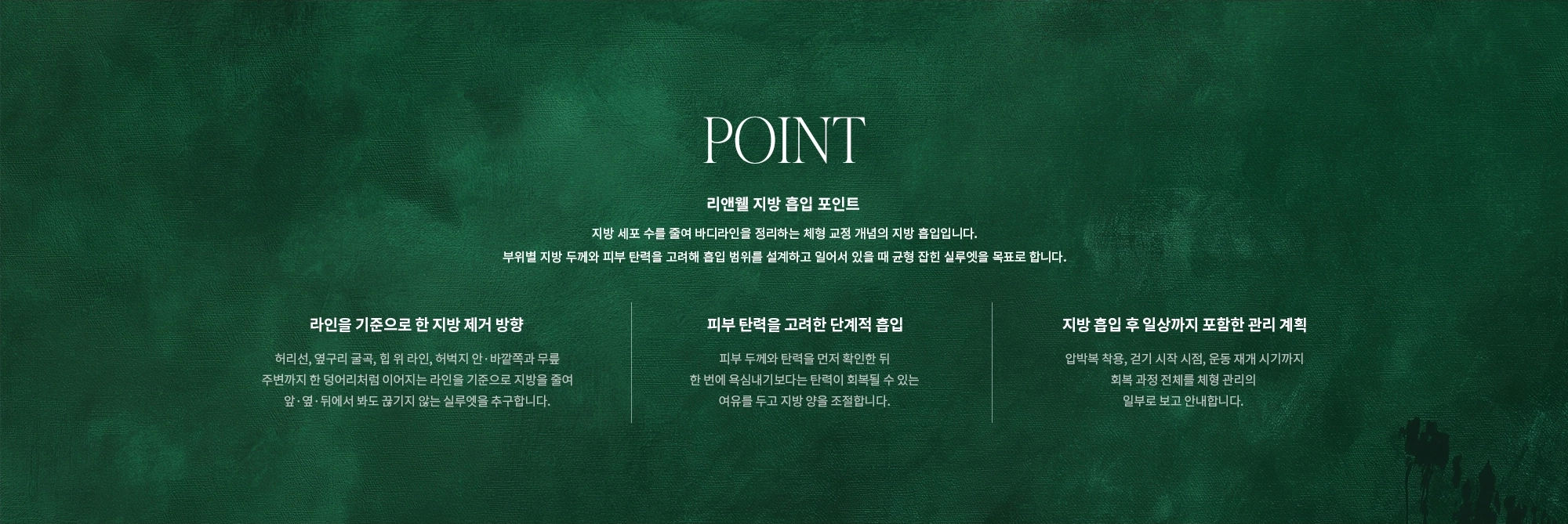 [POINT] 리앤웰 지방 흡입 포인트 : 지방 세포 수를 줄여 바디라인을 정리하는 체형 교정 개념의 지방 흡입입니다. 부위별 지방 두께와 피부 탄력을 고려해 흡입 범위를 설계하고 일어서 있을 때 균형 잡힌 실루엣을 목표로 합니다. (라인을 기준으로 한 지방 제거 방향 / 피부 탄력을 고려한 단계적 흡입 / 지방 흡입 후 일상까지 포함한 관리 계획)