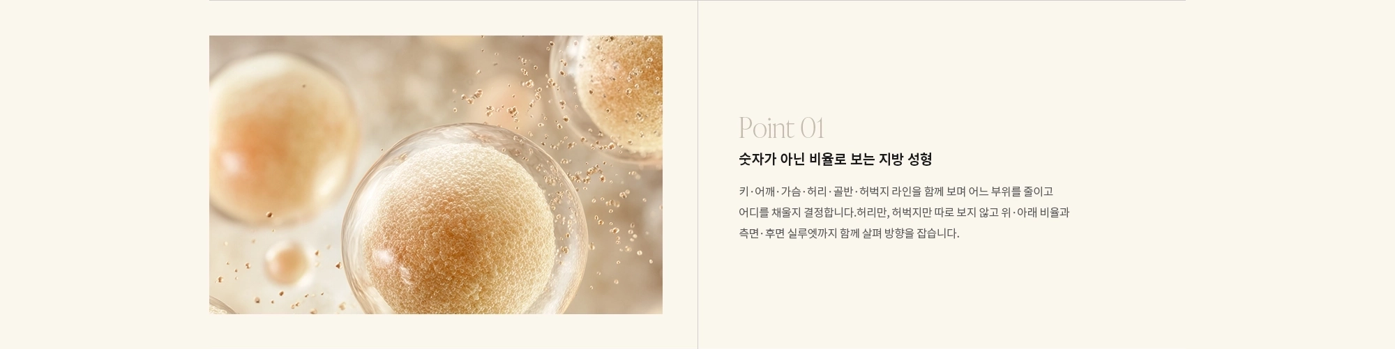 [Point 01] 숫자가 아닌 비율로 보는 지방 성형 : 키·어깨·가슴·허리·골반·허벅지 라인을 함께 보며 어느 부위를 줄이고 어디를 채울지 결정합니다.허리만, 허벅지만 따로 보지 않고 위·아래 비율과 측면·후면 실루엣까지 함께 살펴 방향을 잡습니다.