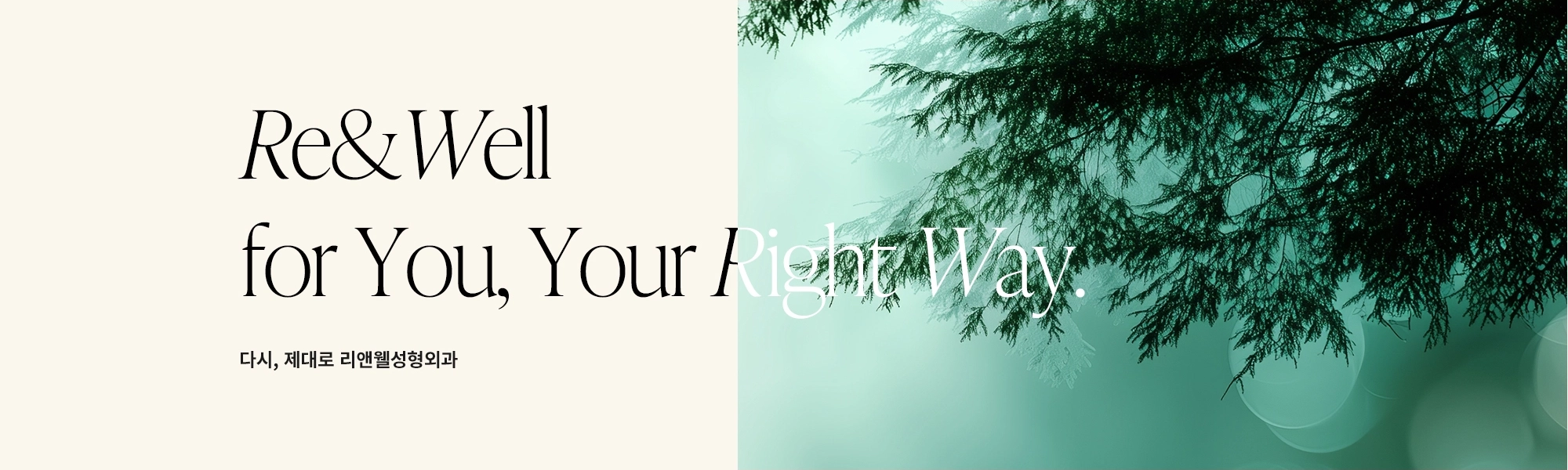 Re&Well for You, Your Right Way. 다시, 제대로 리앤웰성형외과
