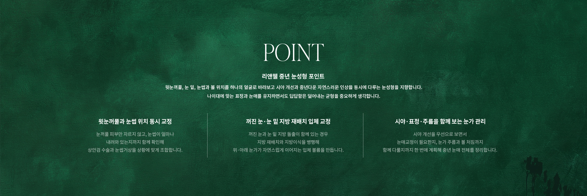 [POINT] 리앤웰 중년 눈성형 포인트 : 윗눈꺼풀, 눈 밑, 눈썹과 볼 위치를 하나의 얼굴로 바라보고 시야 개선과 중년다운 자연스러운 인상을 동시에 다루는 눈성형을 지향합니다. 나이대에 맞는 표정과 눈매를 유지하면서도 답답함은 덜어내는 균형을 중요하게 생각합니다. (윗눈꺼풀과 눈썹 위치 동시 교정 / 꺼진 눈·눈 밑 지방 재배치 입체 교정 / 시야·표정·주름을 함께 보는 눈가 관리)