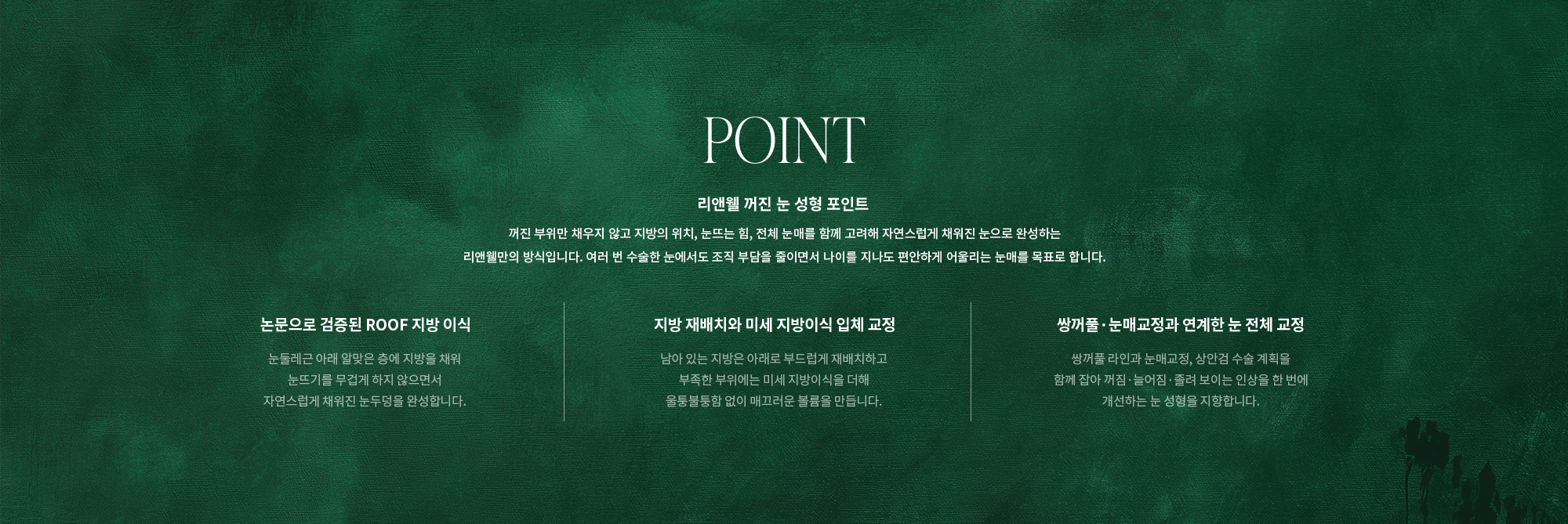 [POINT] 리앤웰 꺼진 눈 성형 포인트 : 꺼진 부위만 채우지 않고 지방의 위치, 눈뜨는 힘, 전체 눈매를 함께 고려해 자연스럽게 채워진 눈으로 완성하는 리앤웰만의 방식입니다. 여러 번 수술한 눈에서도 조직 부담을 줄이면서 나이를 지나도 편안하게 어울리는 눈매를 목표로 합니다. (논문으로 검증된 ROOF 지방 이식 / 지방 재배치와 미세 지방이식 입체 교정 / 쌍꺼풀·눈매교정과 연계한 눈 전체 교정)