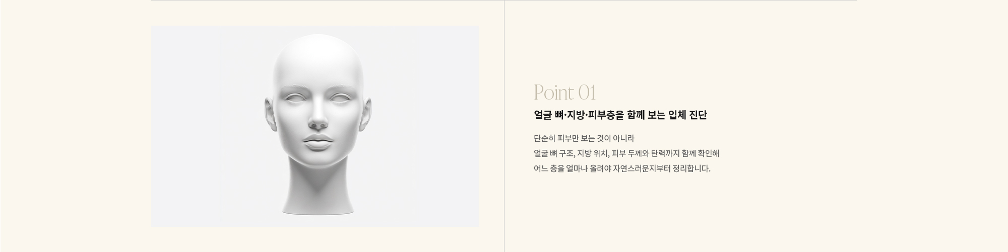 [Point 01] 얼굴 뼈·지방·피부층을 함께 보는 입체 진단 : 단순히 피부만 보는 것이 아니라 얼굴 뼈 구조, 지방 위치, 피부 두께와 탄력까지 함께 확인해 어느 층을 얼마나 올려야 자연스러운지부터 정리합니다.