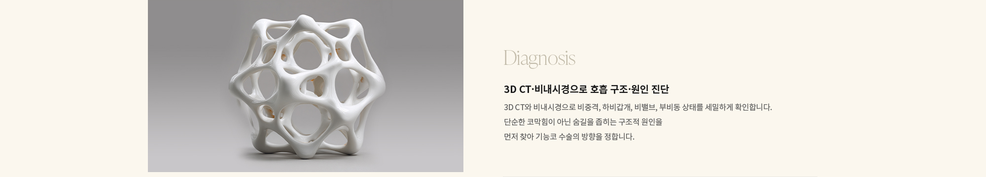 [Diagnosis] 3D CT·비내시경으로 호흡 구조·원인 진단 : 3D CT와 비내시경으로 비중격, 하비갑개, 비밸브, 부비동 상태를 세밀하게 확인합니다. 단순한 코막힘이 아닌 숨길을 좁히는 구조적 원인을 먼저 찾아 기능코 수술의 방향을 정합니다.