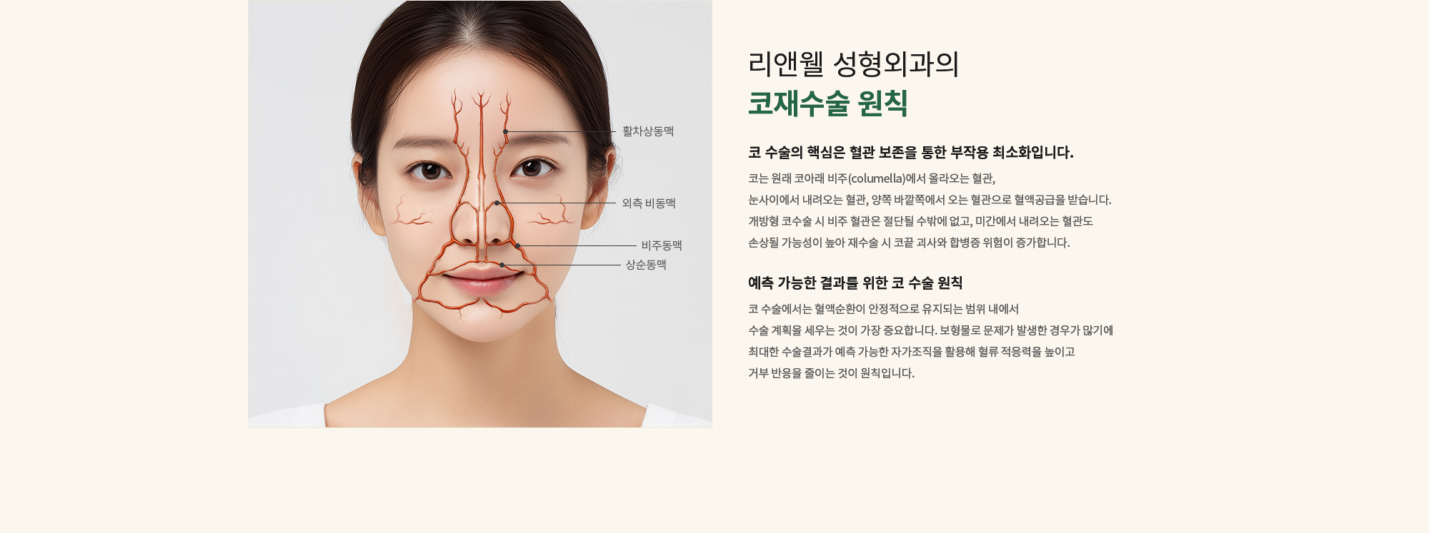 [리앤웰 성형외과의 코재수술 원칙] 코 수술의 핵심은 혈관 보존을 통한 부작용 최소화입니다. : 코는 원래 코아래 비주(columella)에서 올라오는 혈관, 눈사이에서 내려오는 혈관, 양쪽 바깥쪽에서 오는 혈관으로 혈액공급을 받습니다. 개방형 코수술 시 비주 혈관은 절단될 수밖에 없고, 미간에서 내려오는 혈관도 손상될 가능성이 높아 재수술 시 코끝 괴사와 합병증 위험이 증가합니다. / 예측 가능한 결과를 위한 코 수술 원칙 : 코 수술에서는 혈액순환이 안정적으로 유지되는 범위 내에서 수술 계획을 세우는 것이 가장 중요합니다. 보형물로 문제가 발생한 경우가 많기에 최대한 수술결과가 예측 가능한 자가조직을 활용해 혈류 적응력을 높이고 거부 반응을 줄이는 것이 원칙입니다.
