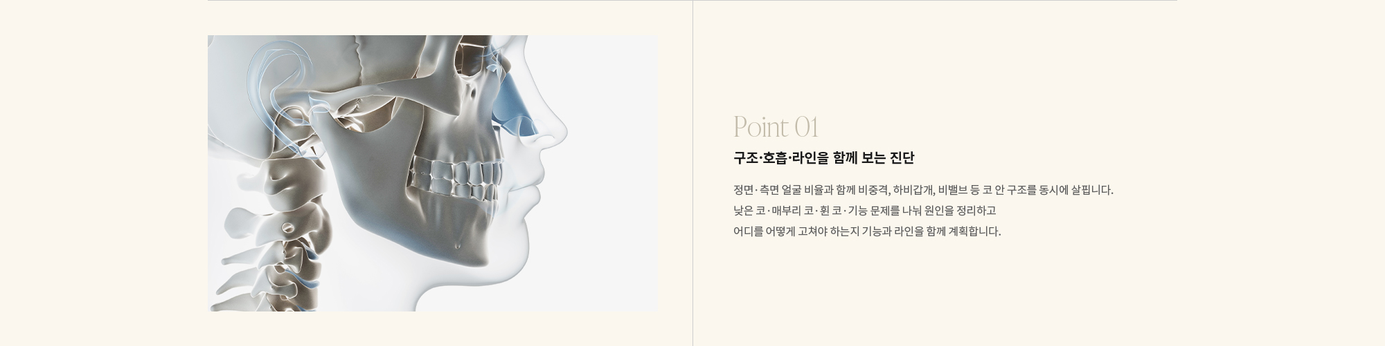 [Point 01] 구조·호흡·라인을 함께 보는 진단 : 정면·측면 얼굴 비율과 함께 비중격, 하비갑개, 비밸브 등 코 안 구조를 동시에 살핍니다. 낮은 코·매부리 코·휜 코·기능 문제를 나눠 원인을 정리하고 어디를 어떻게 고쳐야 하는지 기능과 라인을 함께 계획합니다.