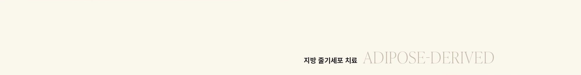 [Adipose-Derived] 지방 줄기세포 치료